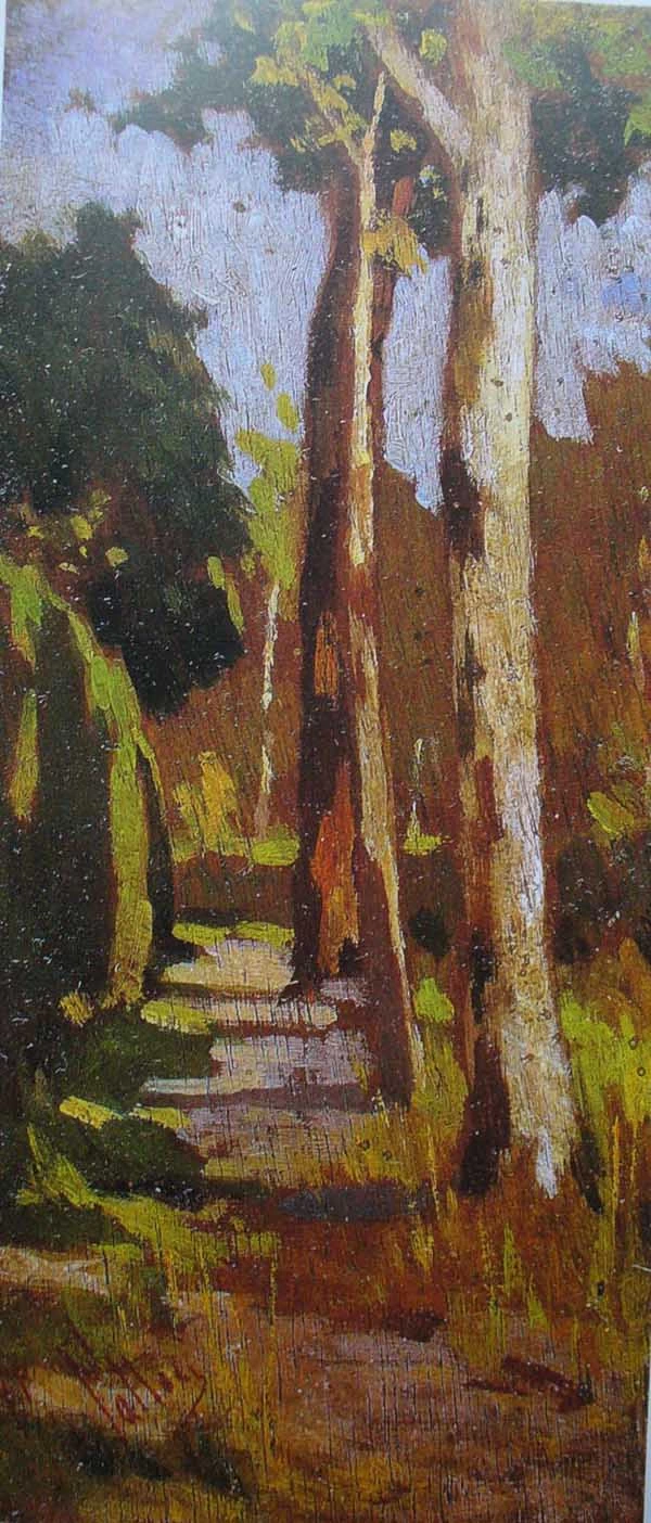 Viale alberato - Collezione Carlo Pepi, Crespina (Pisa)